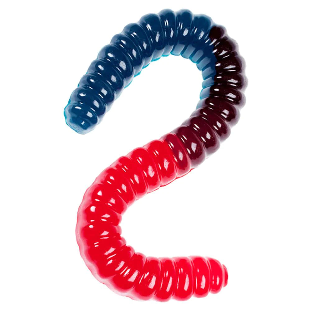 Gummy Fishing Worm - GGB Candies