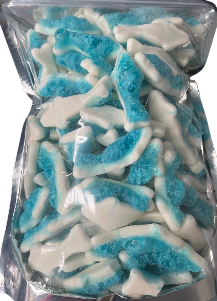 Freeze Dried Blue Shark Gummy