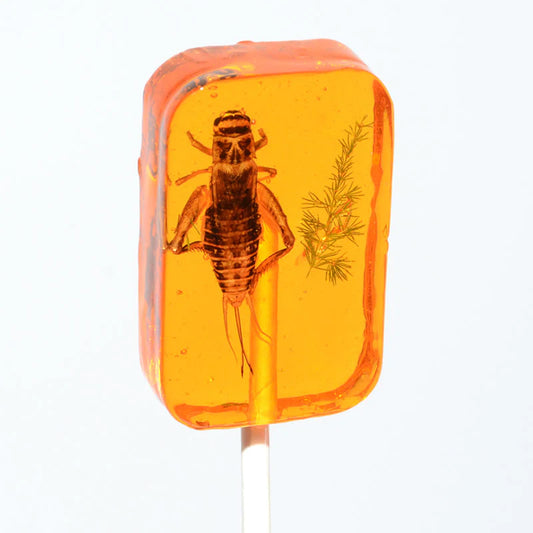 Hotlix Amber Sucker (USA)